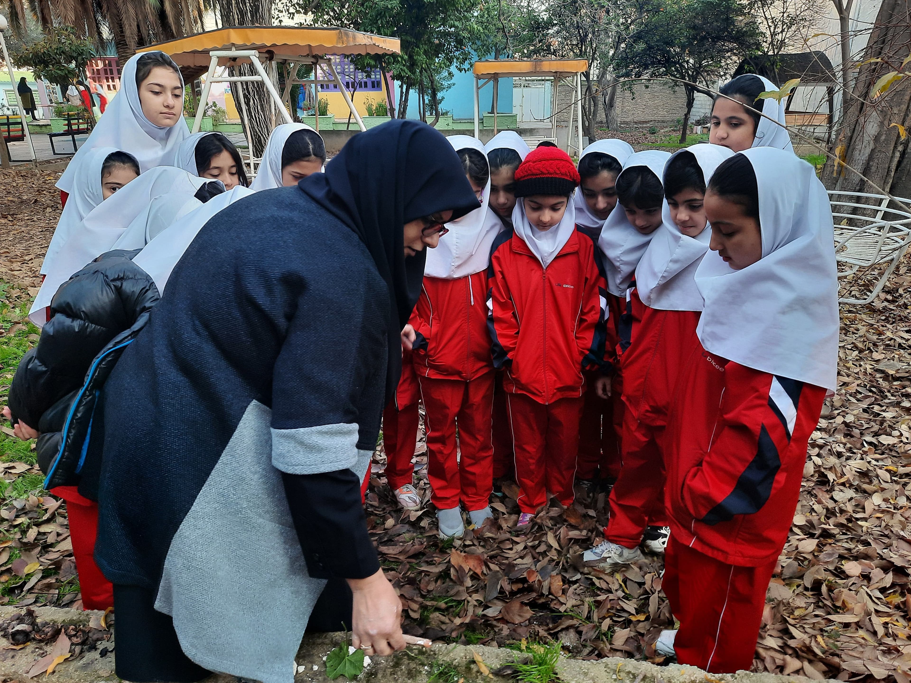 آموزش نحوه تشکیل سنگ های رسوبی